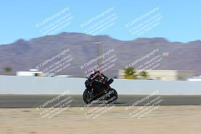 media/Jan-09-2022-SoCal Trackdays (Sun) [[2b1fec8404]]/Front Straight Speed Shots (1pm)/